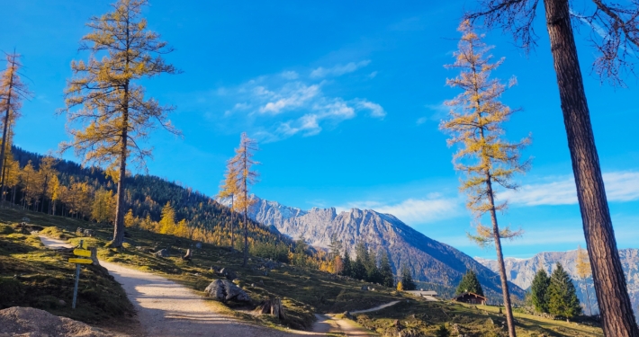 Stubenalm Herbst