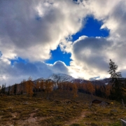 Stubenalm Herbst II